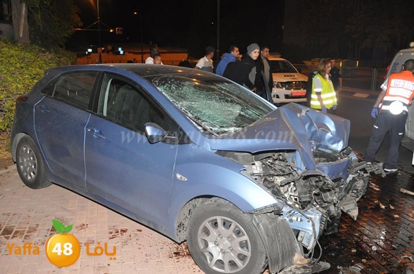 acc 7eshmona2em palmtree (11).JPG